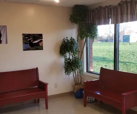 Vista Hills Animal Hospital