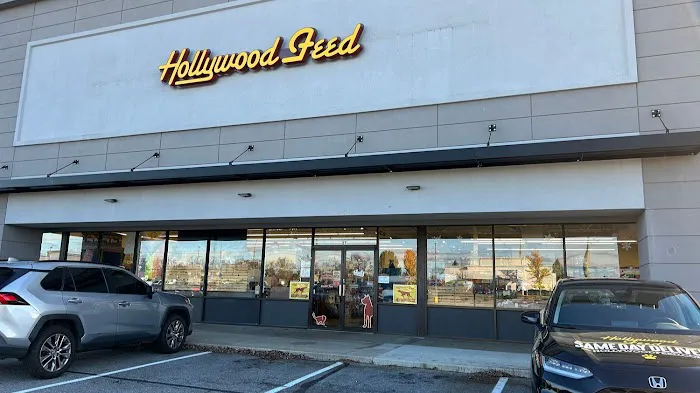 Hollywood Feed Picture 9