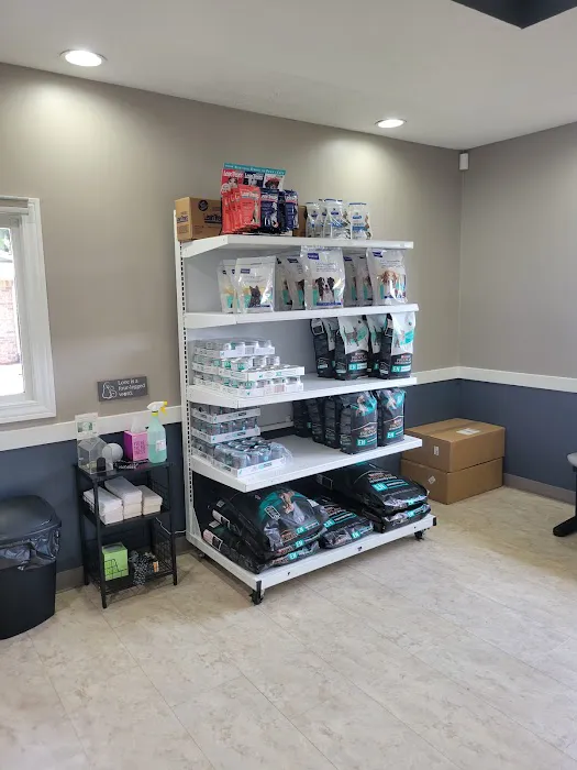 Academy Animal Hospital Picture 9