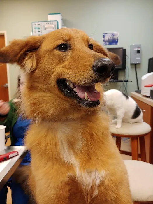 New Palestine Veterinary Clinic Picture 8