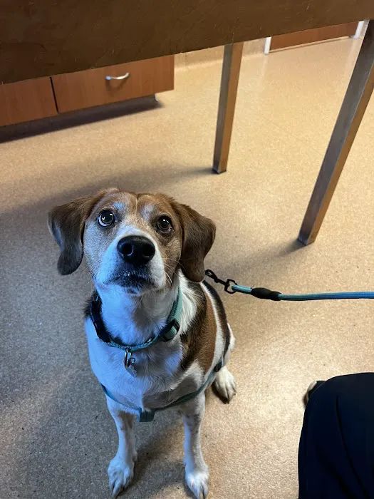 New Palestine Veterinary Clinic Picture 4