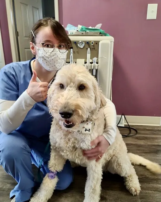 Indy Paws Veterinary Hospital Picture 3
