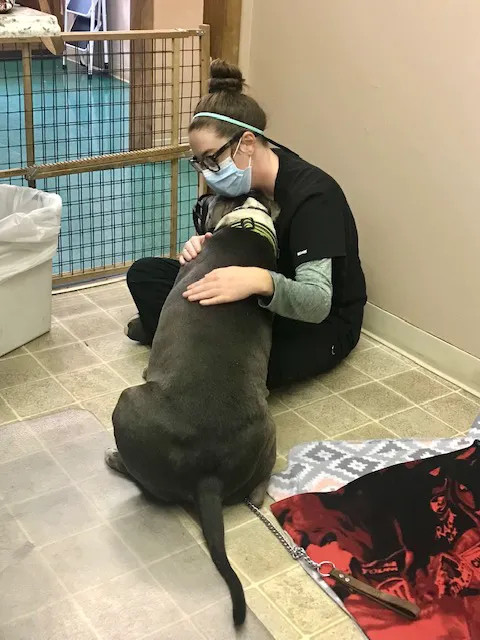 Indy Paws Veterinary Hospital Picture 7