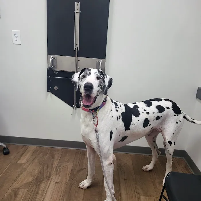 Heartland Vet Care Picture 8