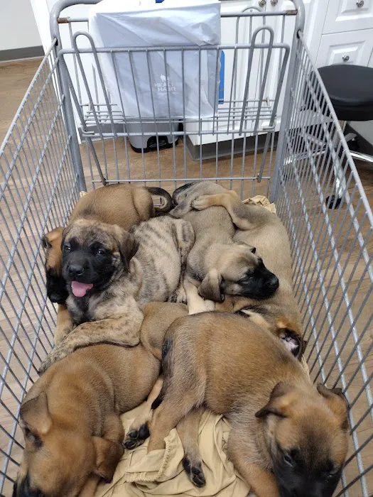 Heartland Vet Care Picture 10