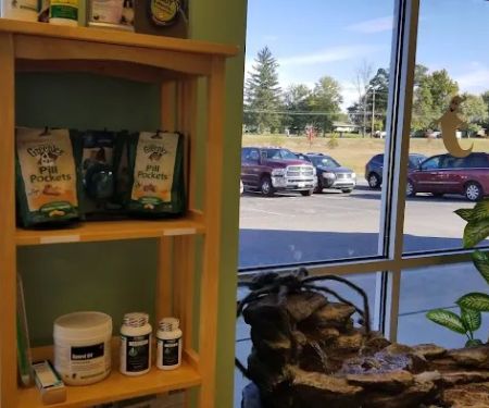 Franklin Falls Animal Clinic