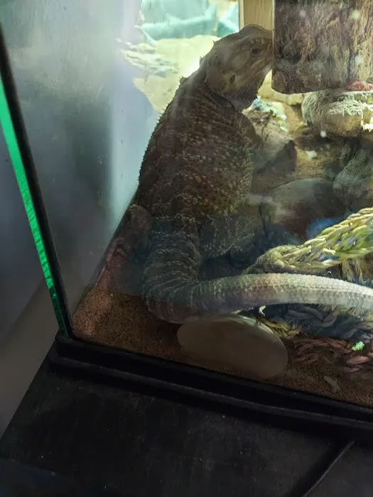Petco Picture 8
