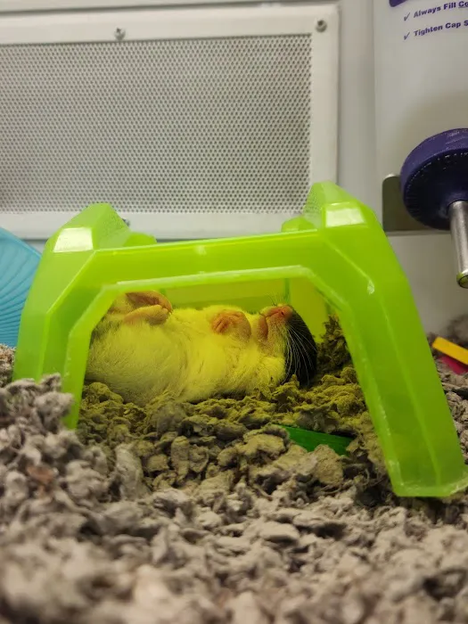 Petco Picture 2