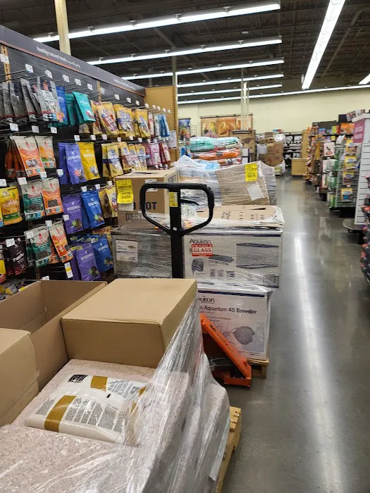 Petco Picture 5
