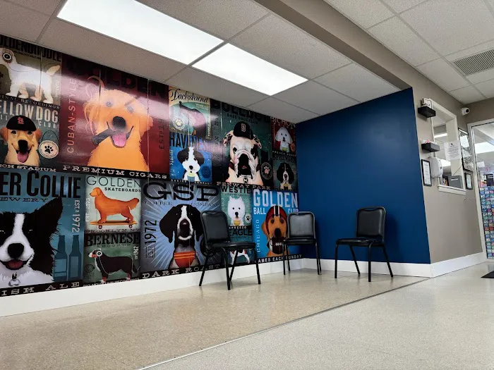 Lake Pointe Veterinary Hospital Picture 6