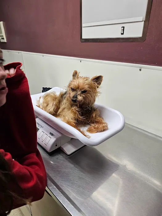 Lake Pointe Veterinary Hospital Picture 3