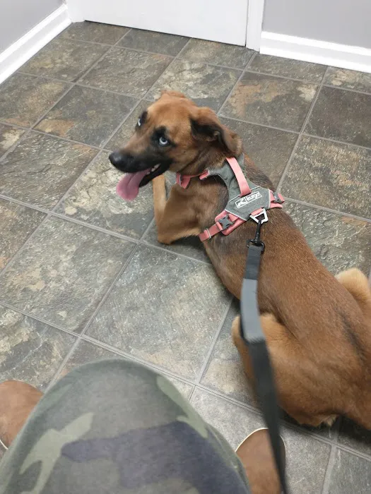 Withamsville Animal Hospital Picture 6