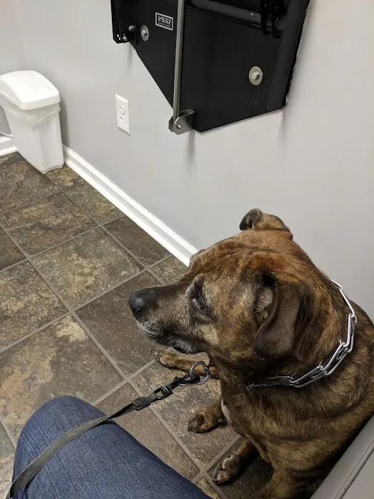 Withamsville Animal Hospital Picture 8