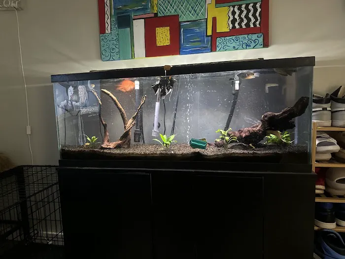 Fish World Aquarium Picture 1