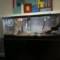 Fish World Aquarium ico