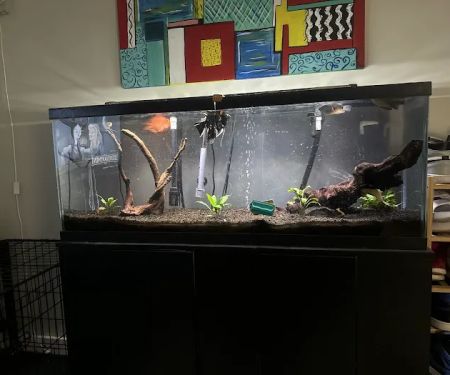 Fish World Aquarium