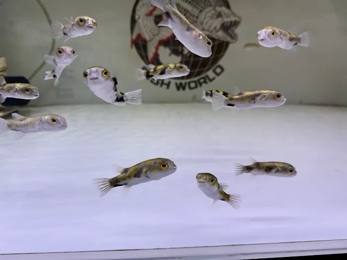 Fish World Aquarium Picture 2