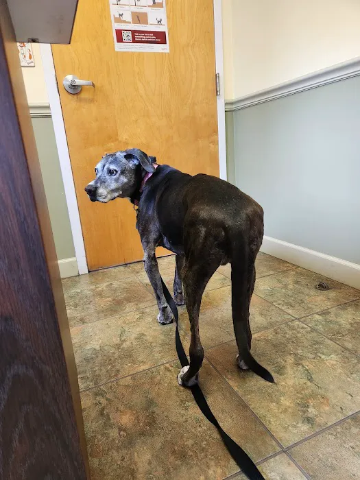 Park Plaza Animal Hospital Picture 1