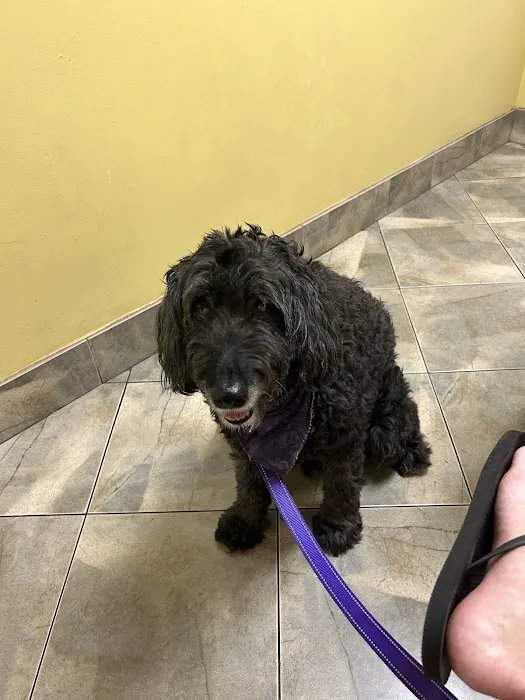 Fort Thomas Animal Hospital Picture 5