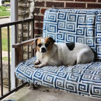 Noah's Ark Animal Clinic of Ft. Wright ico