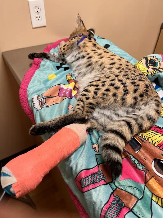 Noah's Ark Animal Clinic of Ft. Wright Picture 9