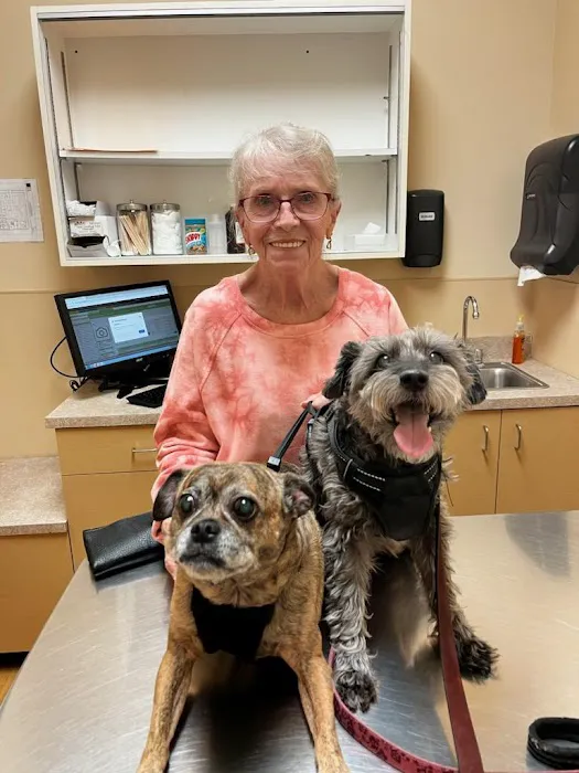 Noah's Ark Animal Clinic of Ft. Wright Picture 8