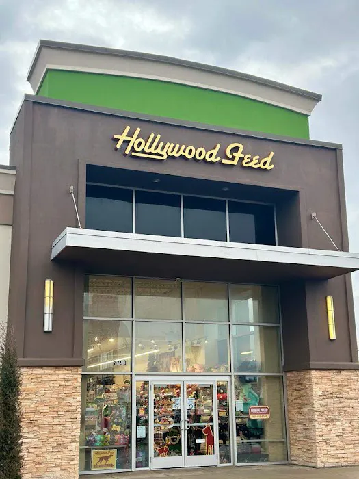 Hollywood Feed Picture 4