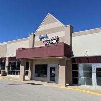 Edgewood Animal Clinic ico