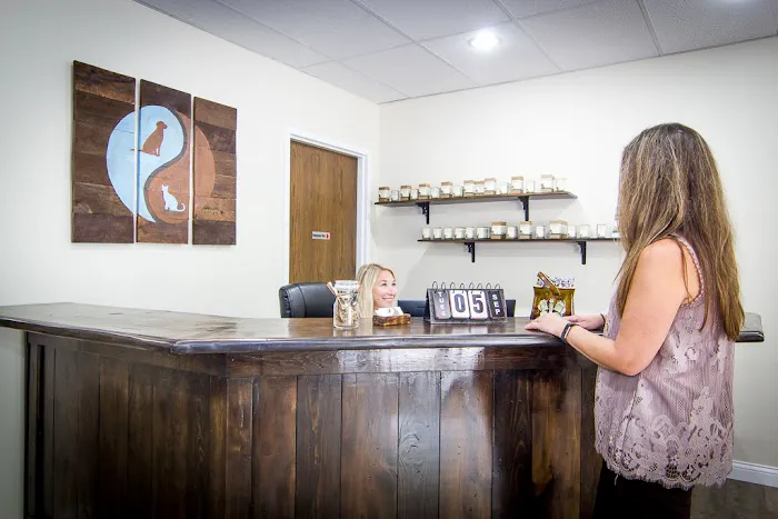 Holistic Veterinary Care Picture 2