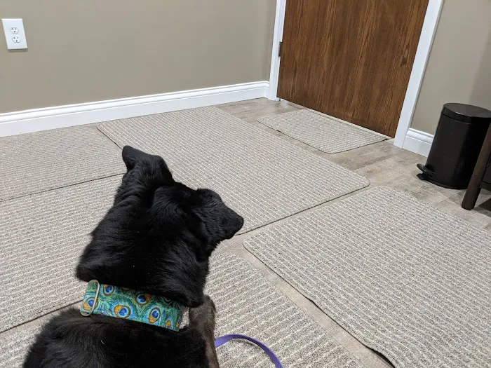 Holistic Veterinary Care Picture 8