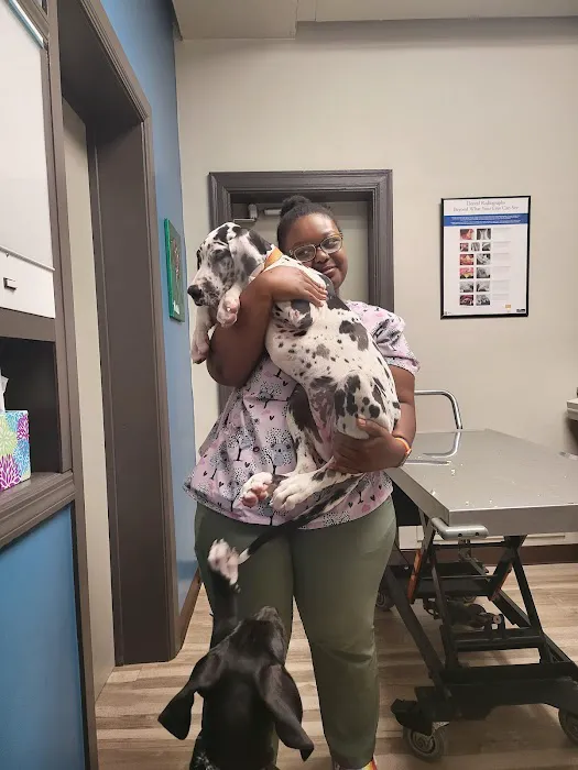 Park Hills Animal Hospital Picture 7