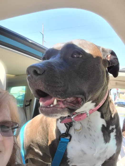 Crescent Springs Animal Hospital Picture 5
