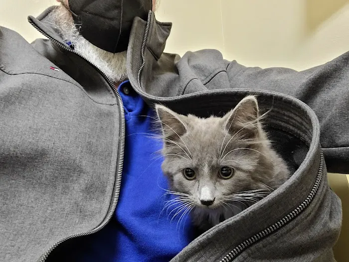 Crescent Springs Animal Hospital Picture 9