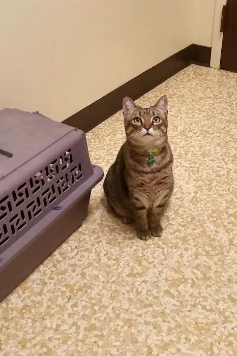 Crescent Springs Animal Hospital Picture 1