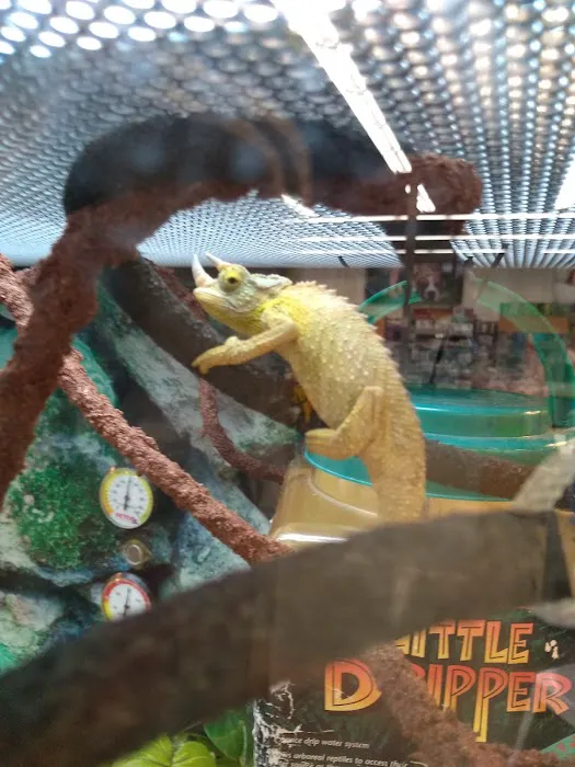 Petco Picture 2
