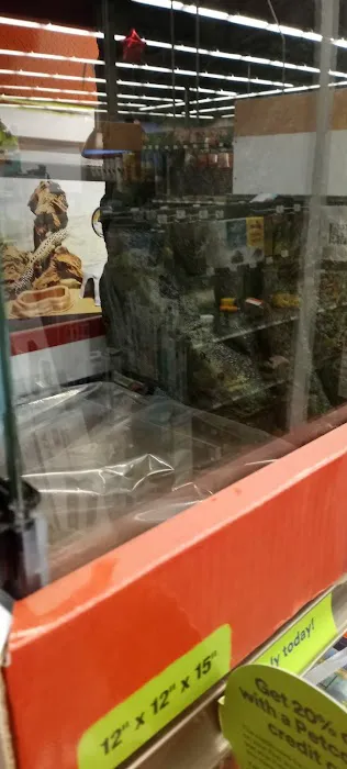 Petco Picture 7