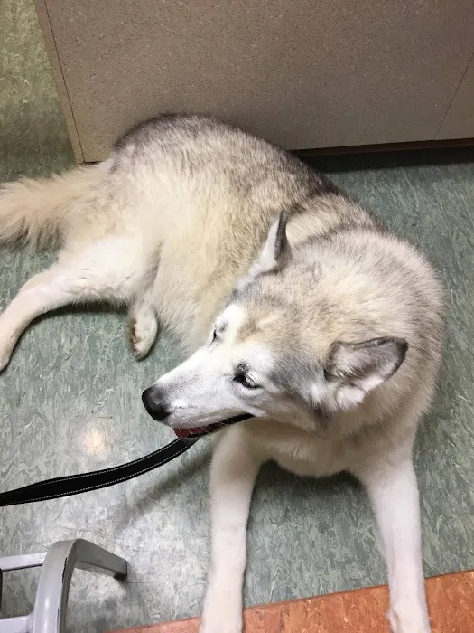 Beechmont Pet Hospital Picture 7