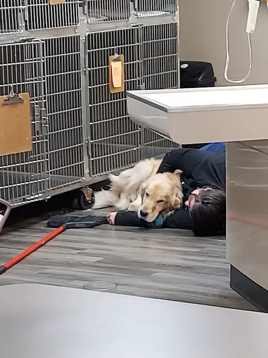 Beechmont Pet Hospital Picture 9