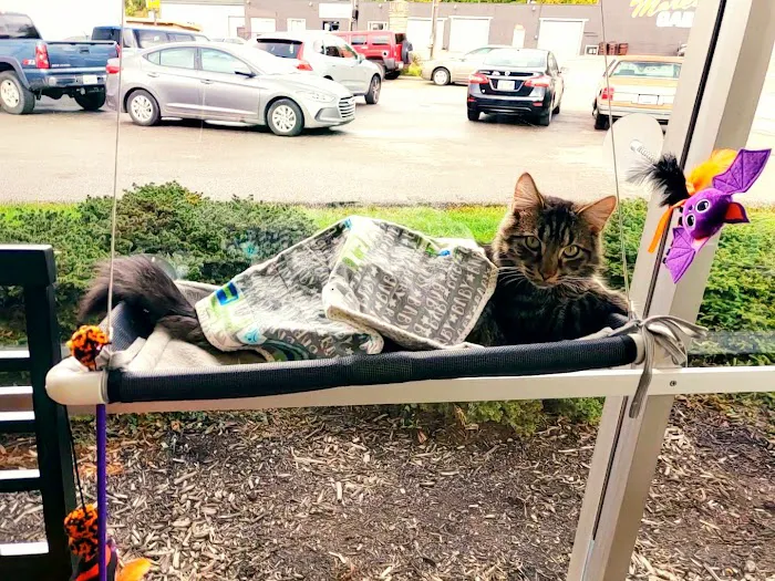 Alexandria Pike Animal Hospital PSC Picture 6
