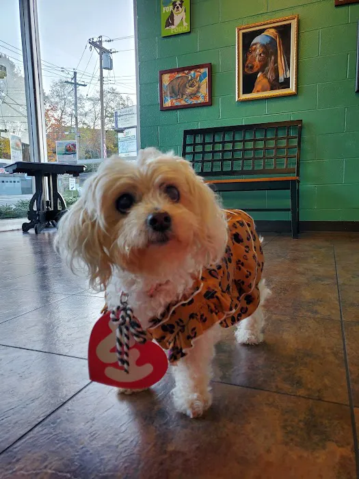 Alexandria Pike Animal Hospital PSC Picture 1