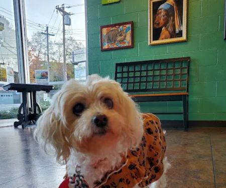 Alexandria Pike Animal Hospital PSC