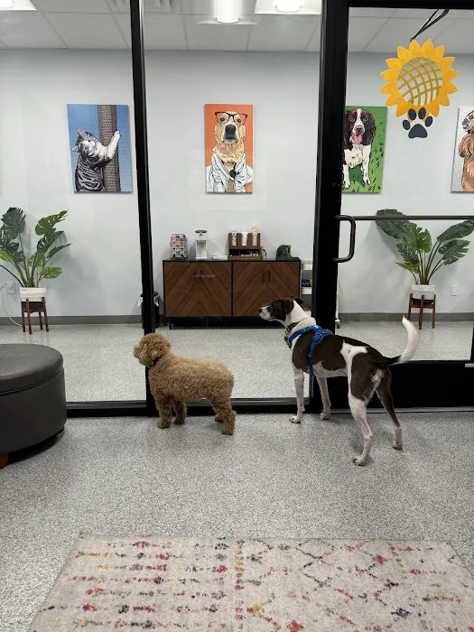 PetVet365 Pet Hospital Cincinnati/Newport Picture 9