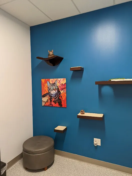 PetVet365 Pet Hospital Cincinnati/Newport Picture 1