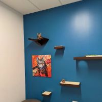 PetVet365 Pet Hospital Cincinnati/Newport ico