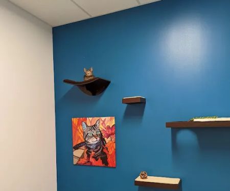 PetVet365 Pet Hospital Cincinnati/Newport