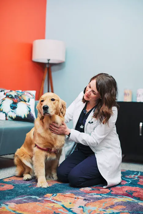 PetVet365 Pet Hospital Cincinnati/Newport Picture 6