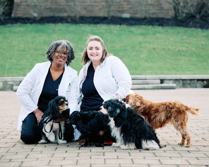 PetVet365 Pet Hospital Cincinnati/Newport Picture 10