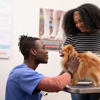 Banfield Pet Hospital ico