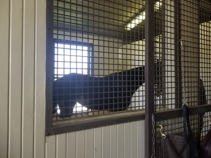 Rood & Riddle Equine Hospital Picture 10