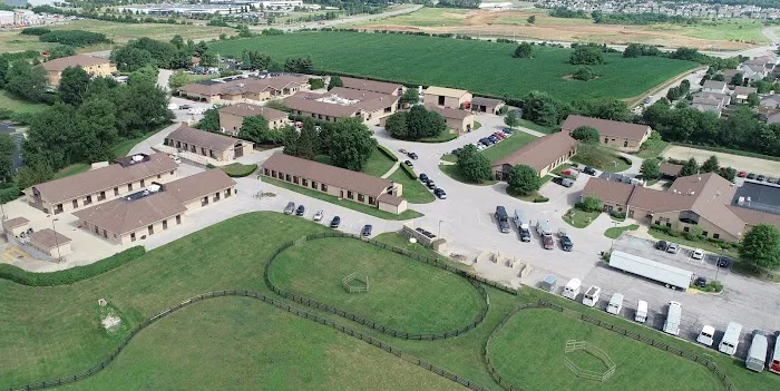 Rood & Riddle Equine Hospital Picture 2